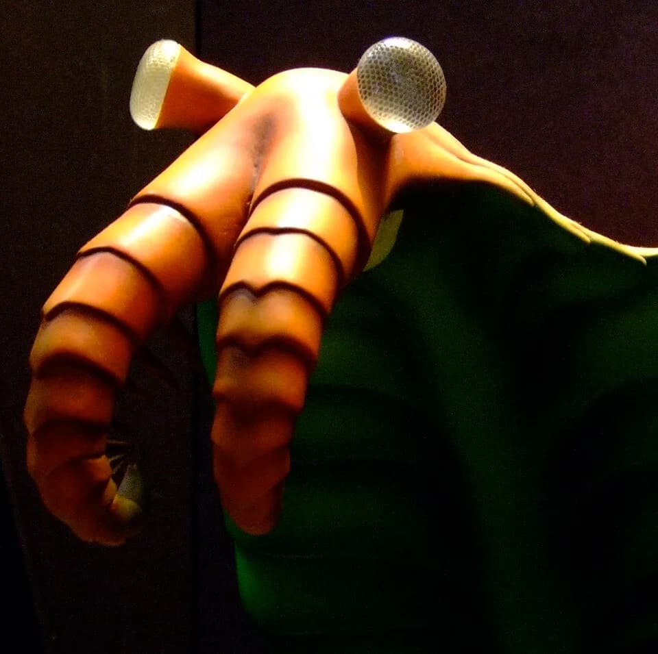 Anomalocaris canadensis
