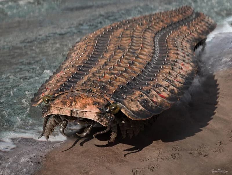 Arthropleura armata