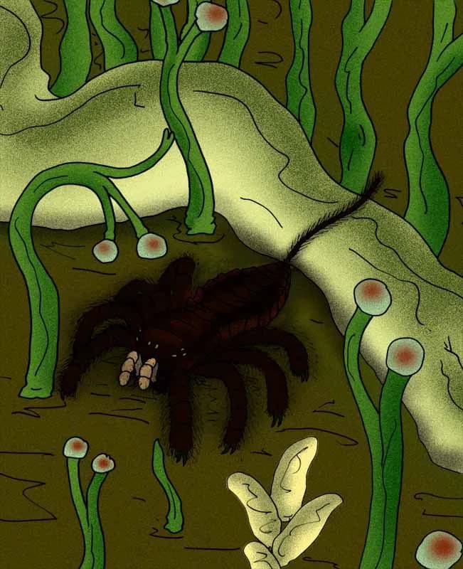 Reconstitution d'Attercopus fimbriunguis