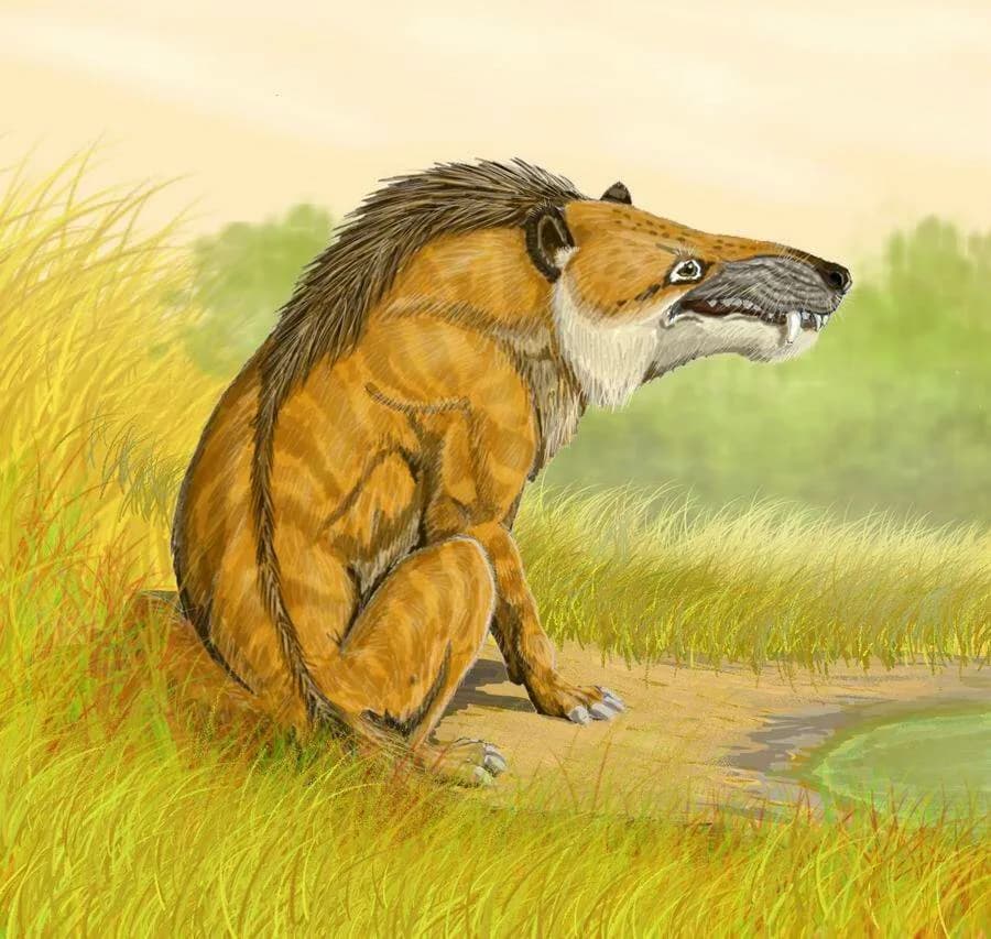 Andrewsarchus mongoliensis