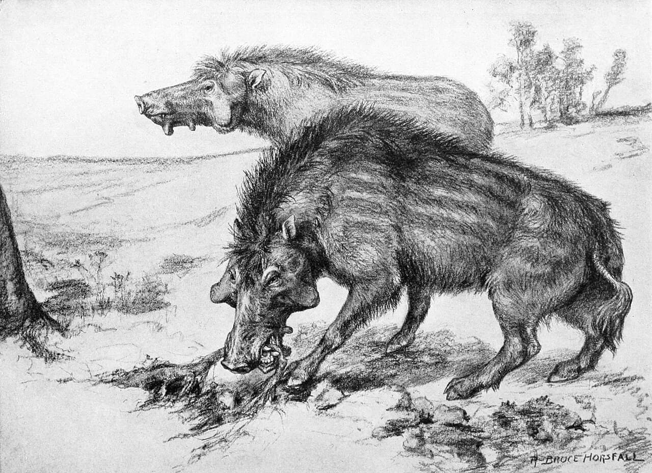 Archaeotherium mortoni