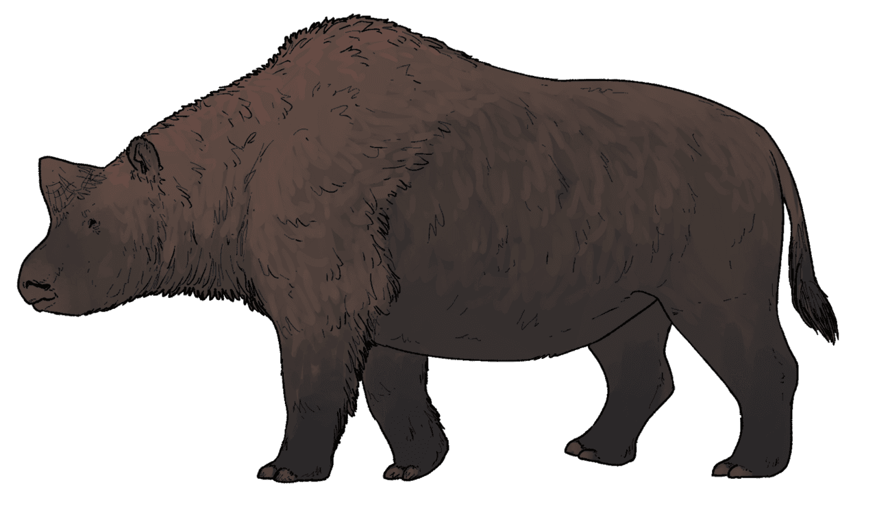Reconstitution d'Elasmotherium sibiricum