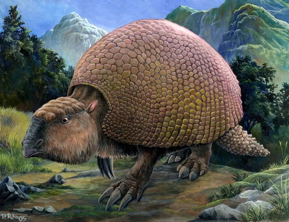 Glyptodon clavipes