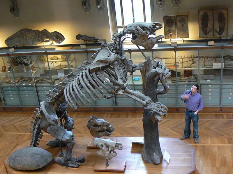 Megatherium americanum