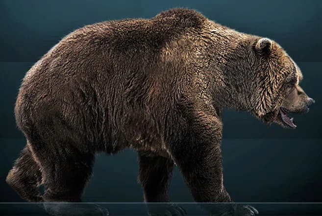 Reconstitution d'Ursus spelaeus