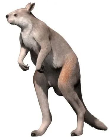 Procoptodon goliah