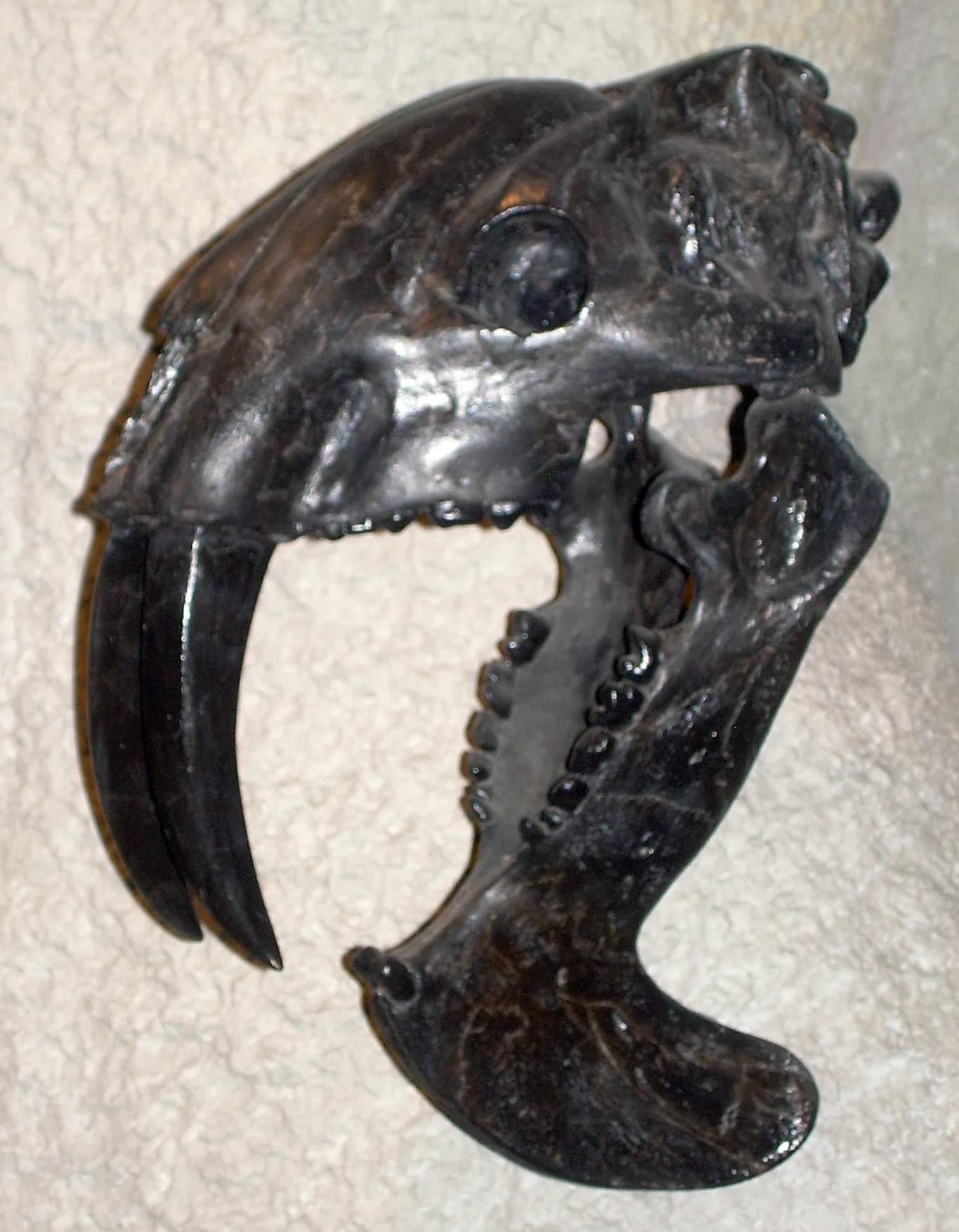 Thylacosmilus atrox, un prédateur sud-américain convergent avec les félins