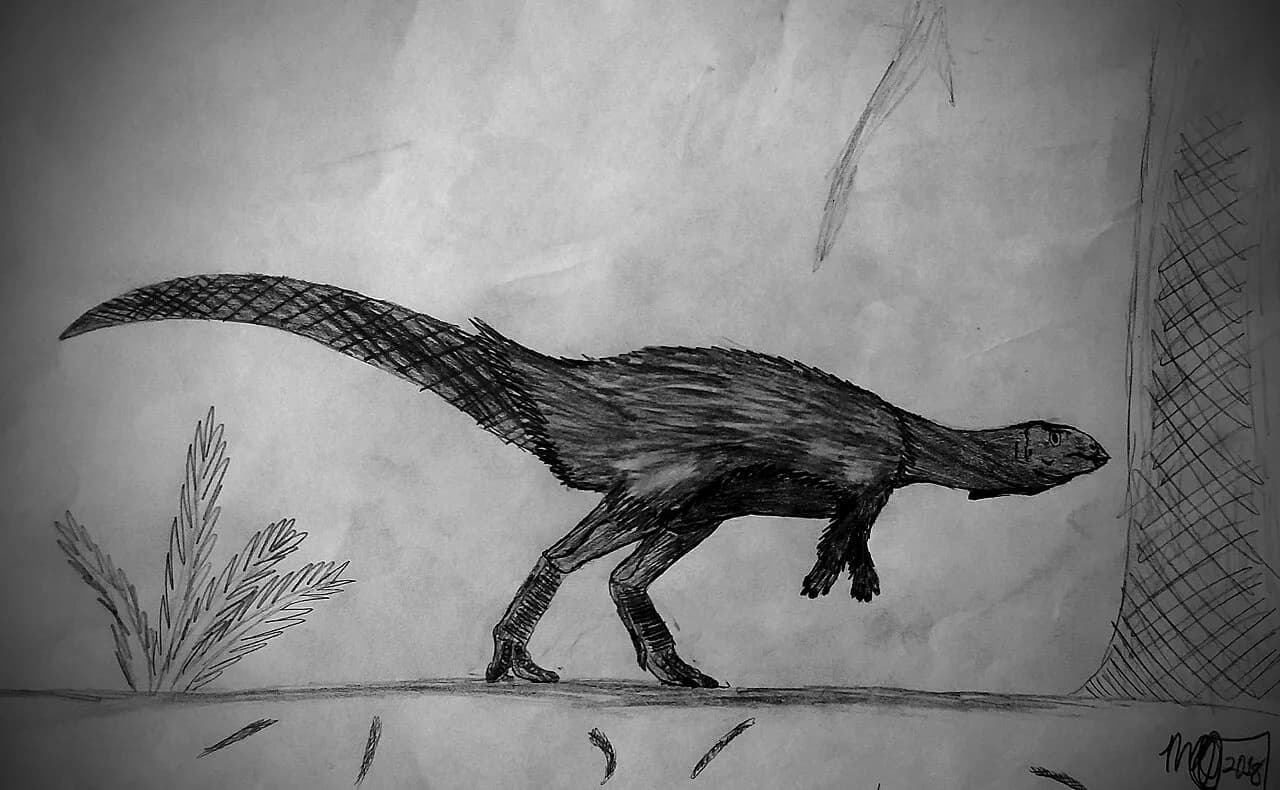 Dryosaurus altus