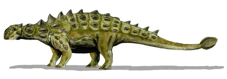 Armure osseuse d'Euoplocephalus