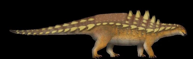 Crâne de Gastonia