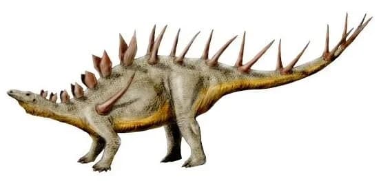 Reconstitution de Kentrosaurus aethiopicus
