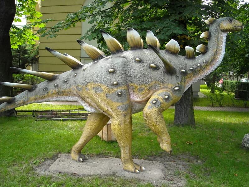 Squelette monté de Kentrosaurus aethiopicus