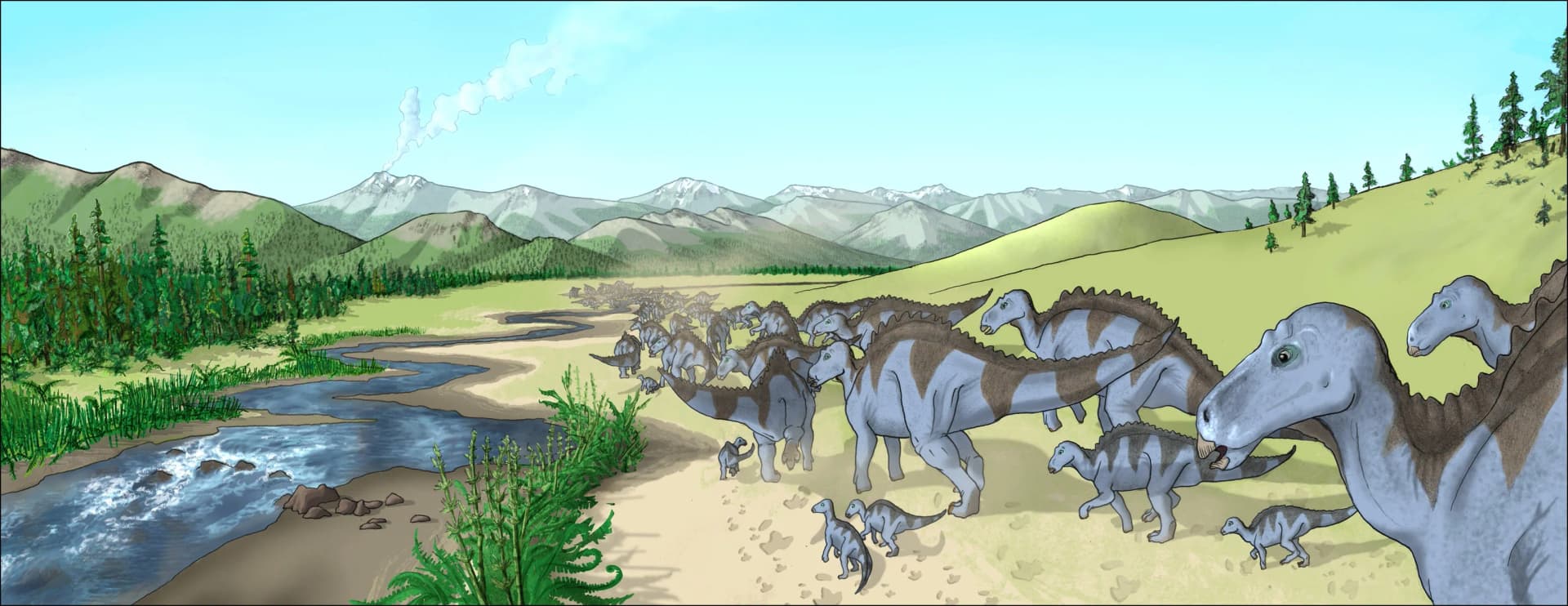 Maiasaura peeblesorum