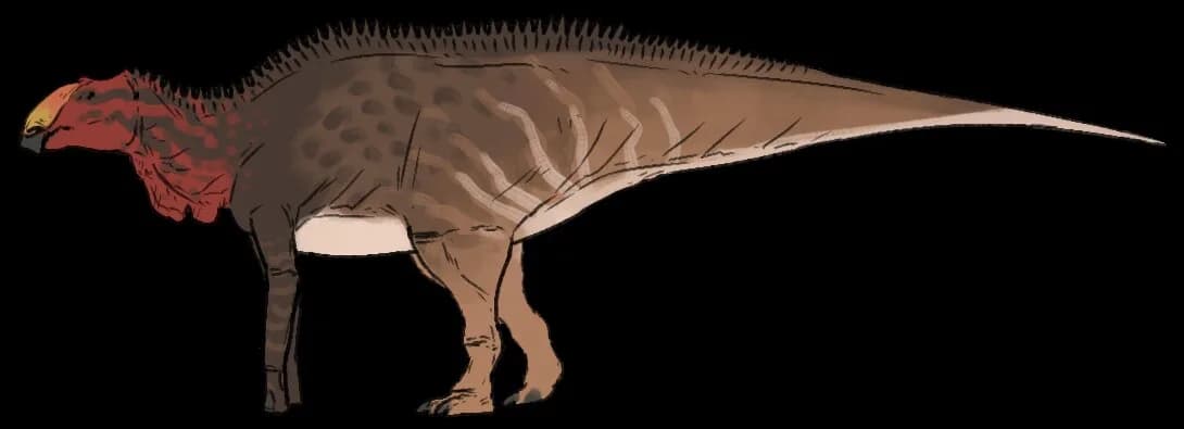 Reconstitution de Maiasaura peeblesorum