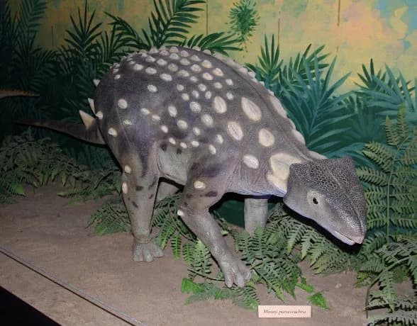Reconstitution de Minmi paravertebra