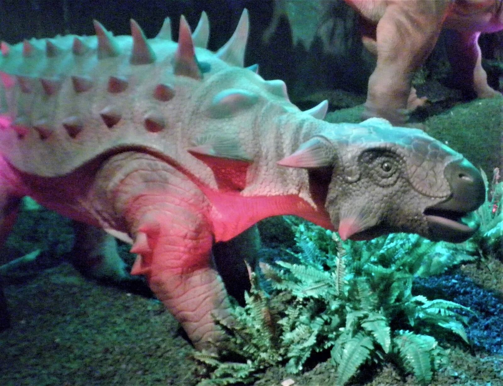 Nodosaurus textilis