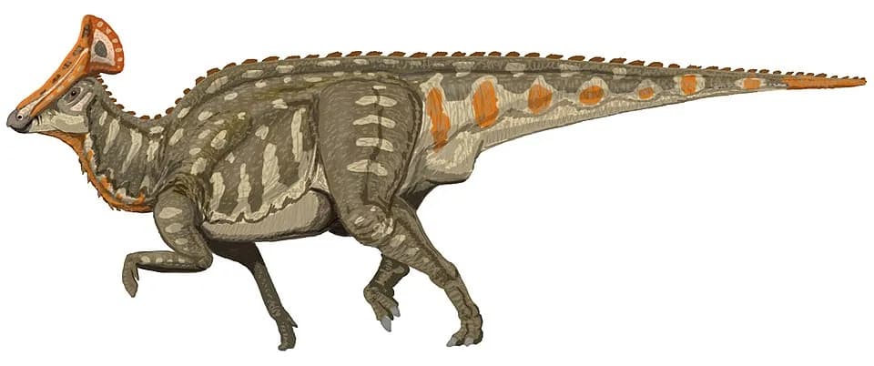 Reconstitution artistique d'Olorotitan arharensis avec sa crête en éventail