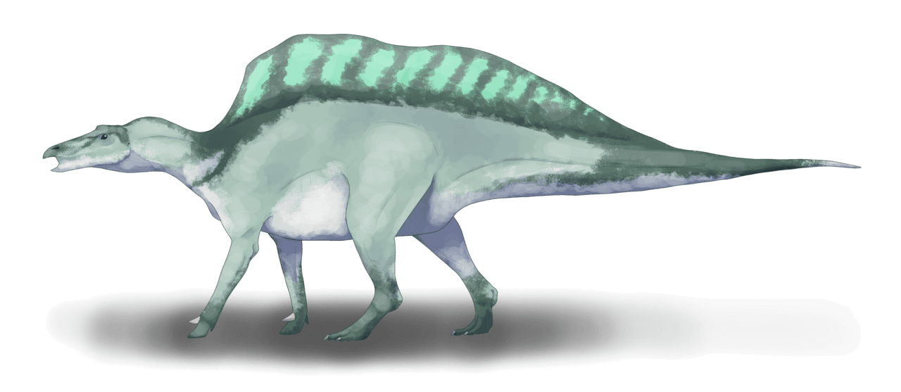 Ouranosaurus nigeriensis