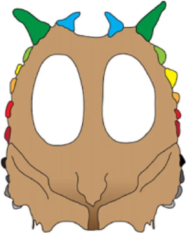 Collerette fossile de Pachyrhinosaurus canadensis