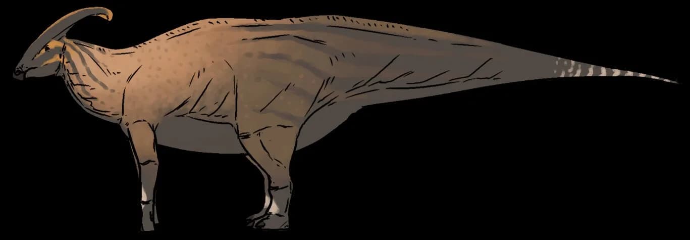 Parasaurolophus walkeri