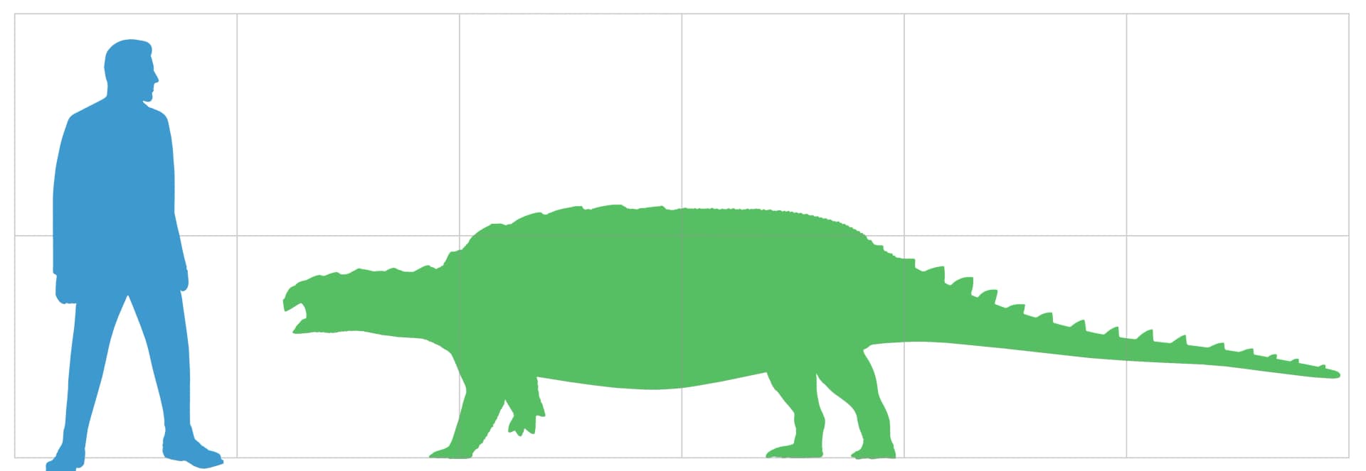 Fossiles de Polacanthus