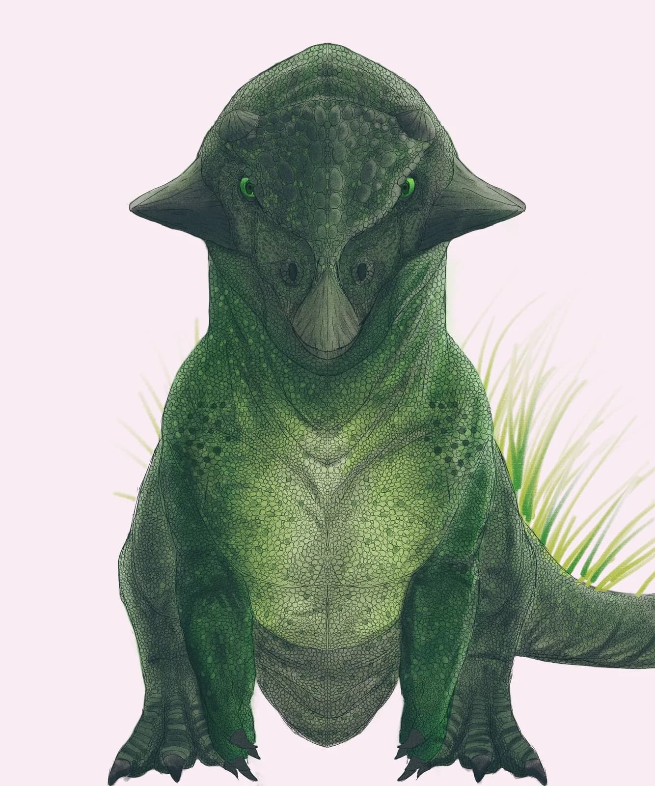Psittacosaurus mongoliensis