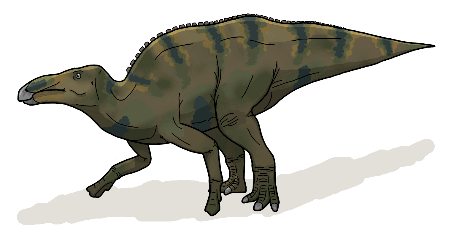 Reconstitution de Shantungosaurus giganteus