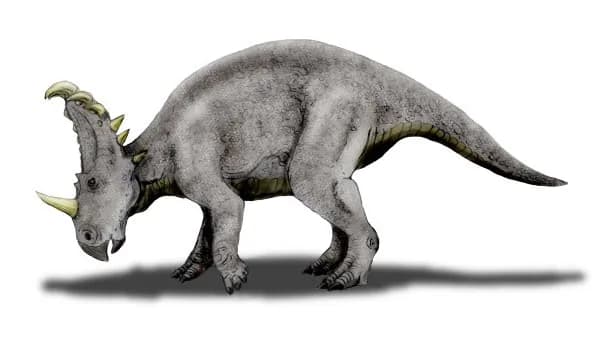 Illustration de Sinoceratops zhuchengensis