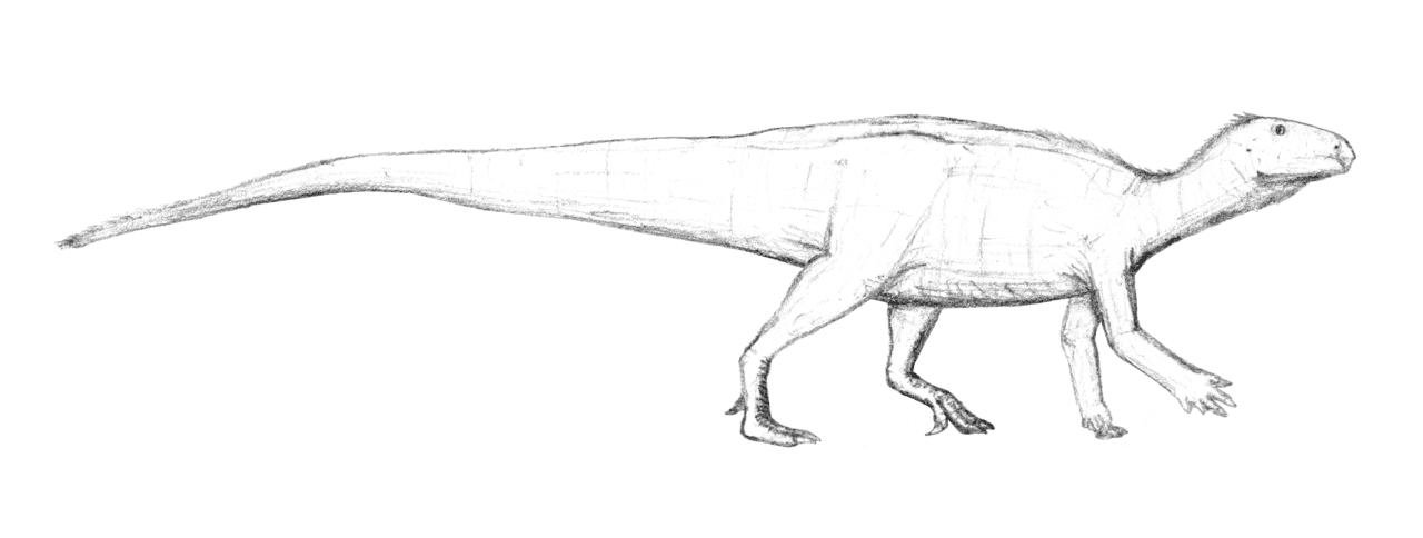 Tenontosaurus tilletti