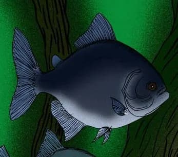 Megapiranha paranensis