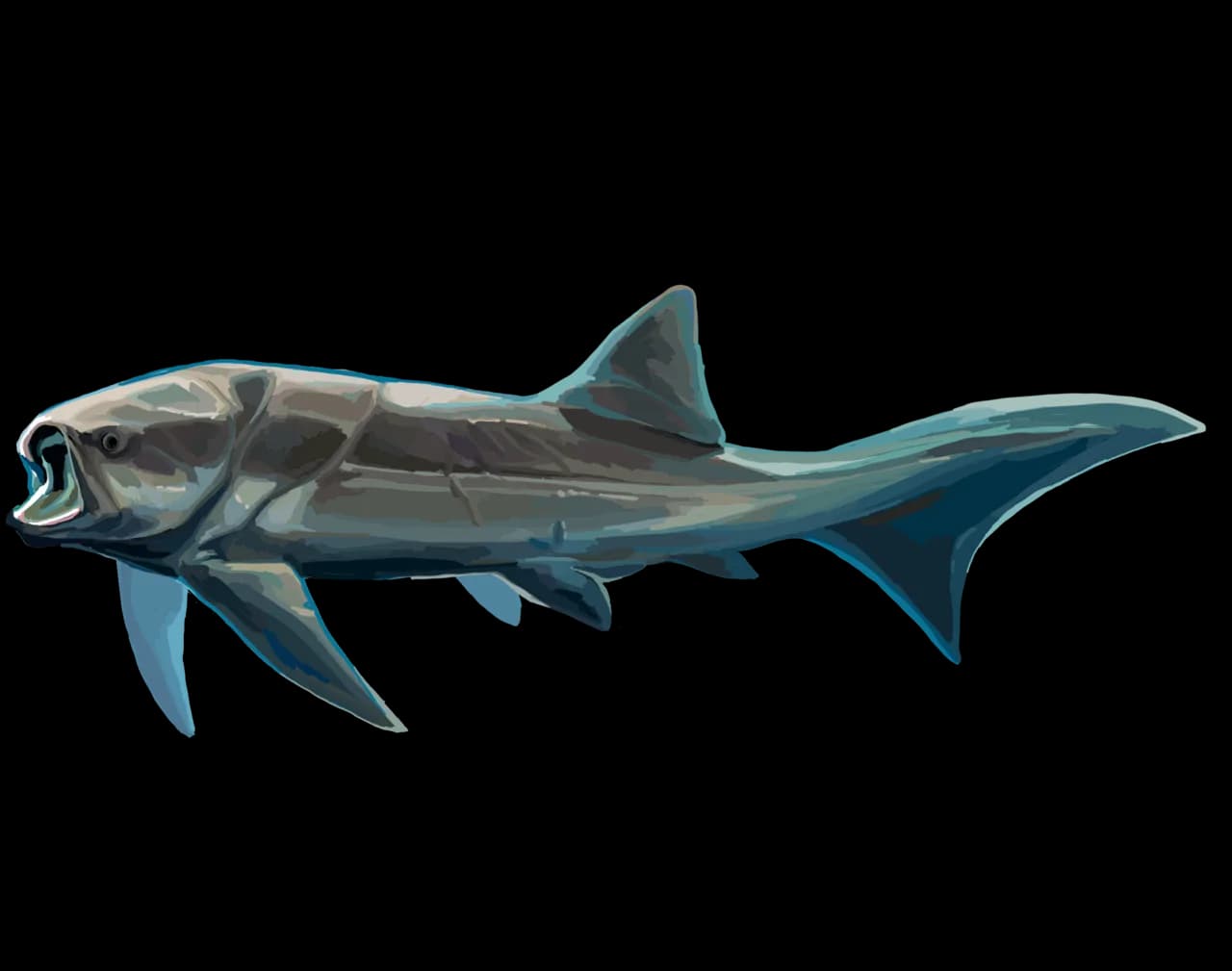 Reconstitution de Titanichthys agassizi