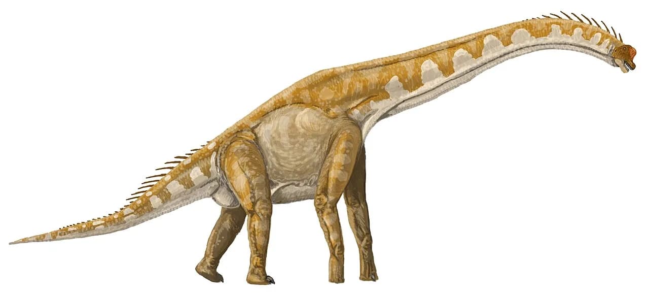 Illustration de Giraffatitan brancai