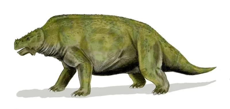 Scutosaurus karpinskii