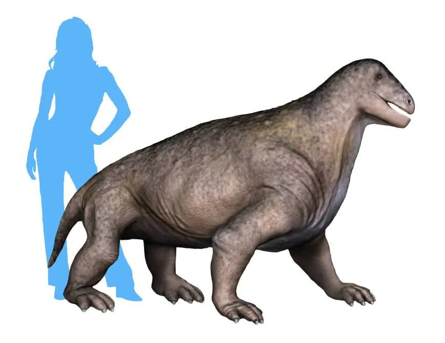 Reconstitution de Moschops capensis