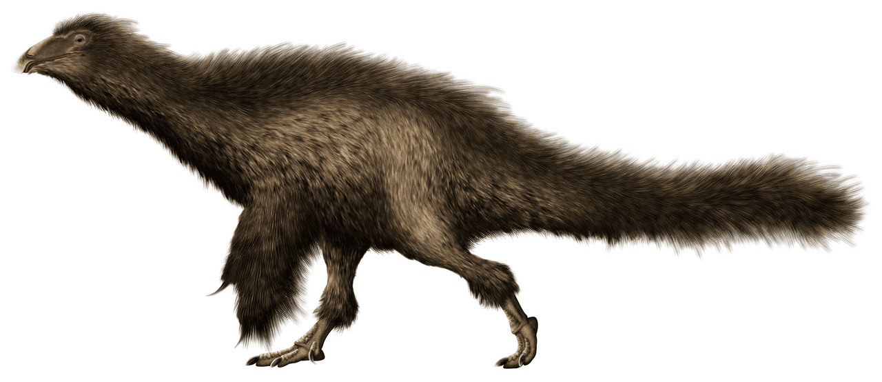 Fossile holotype de Beipiaosaurus