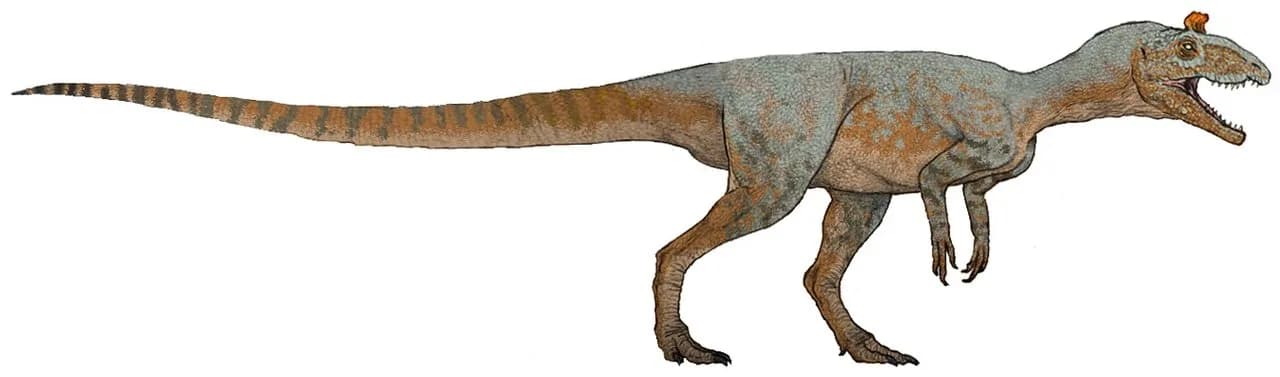 Reconstitution de Cryolophosaurus ellioti