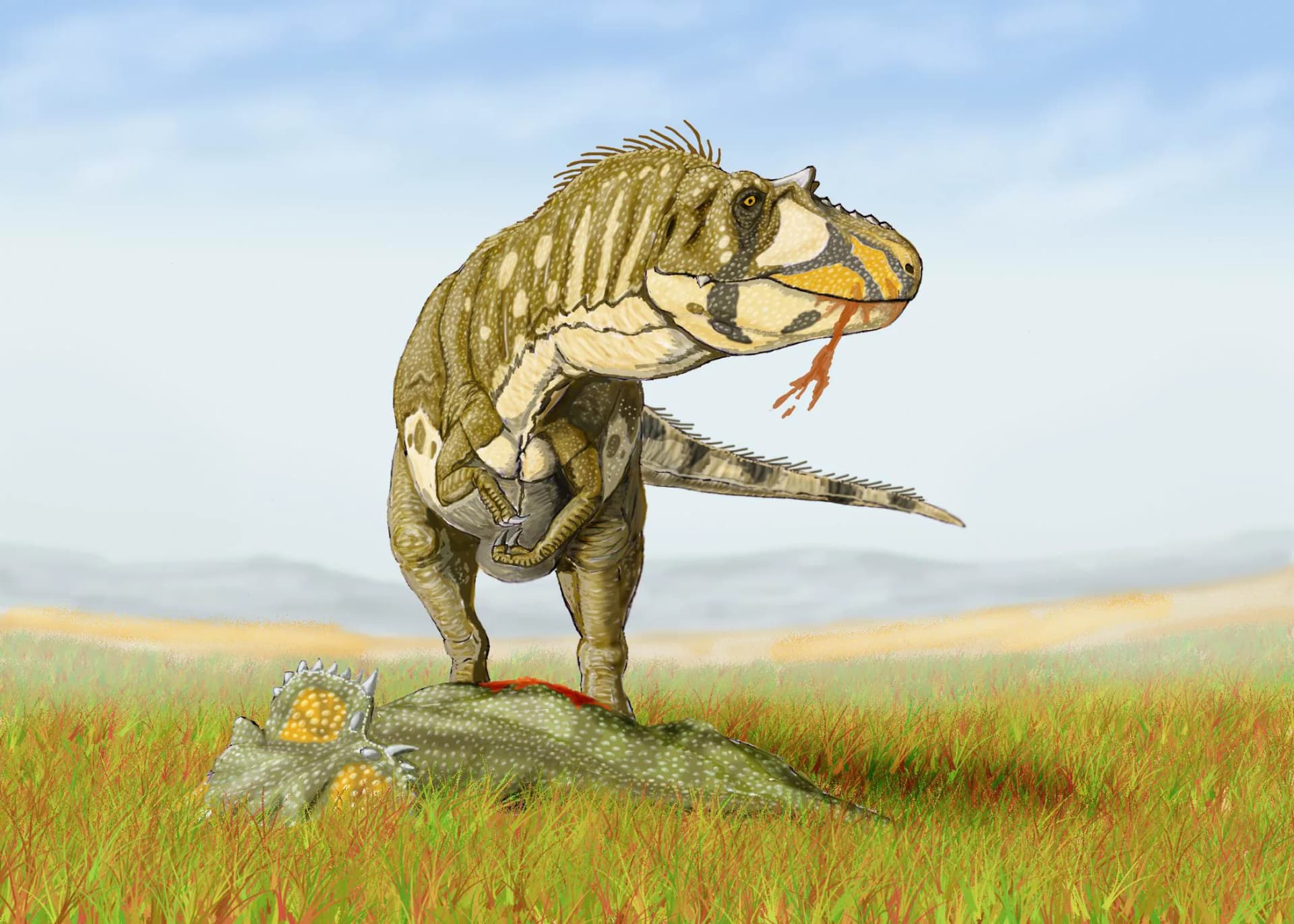 Daspletosaurus torosus
