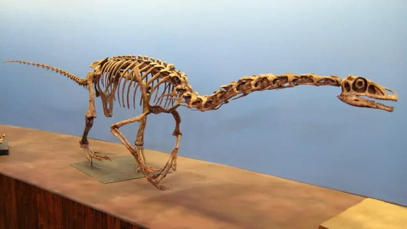 Reconstitution de Falcarius utahensis
