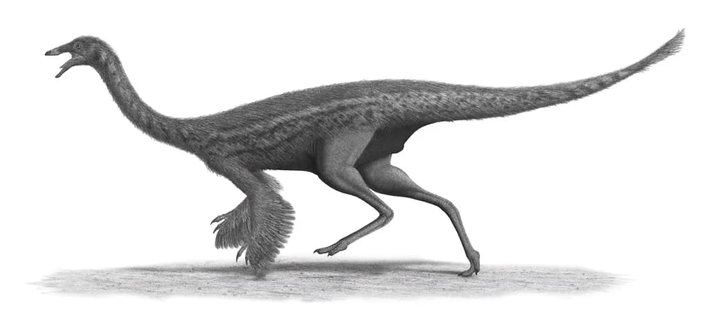 Reconstitution de Gallimimus bullatus avec plumage