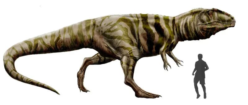 Reconstitution artistique de Giganotosaurus carolinii