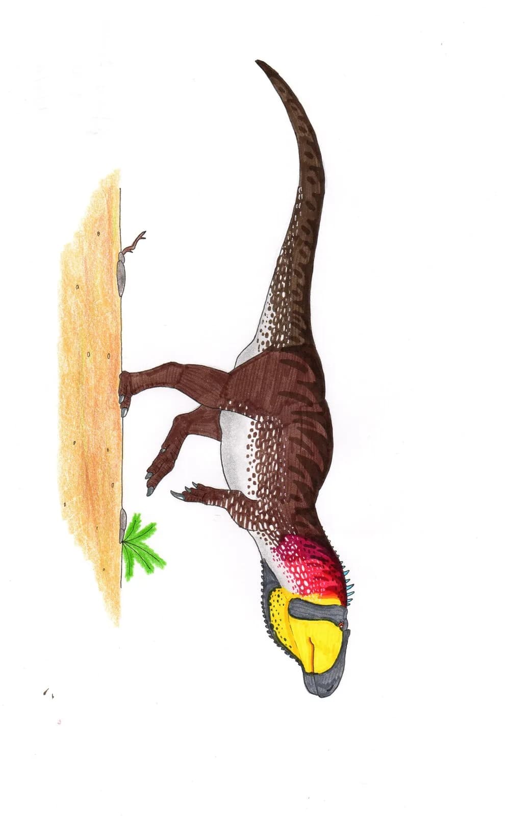 Megalosaurus bucklandii