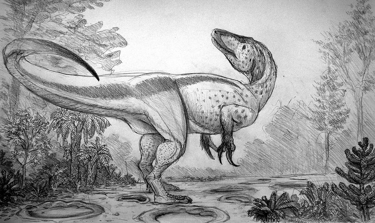 Reconstitution de Megaraptor namunhuaiquii