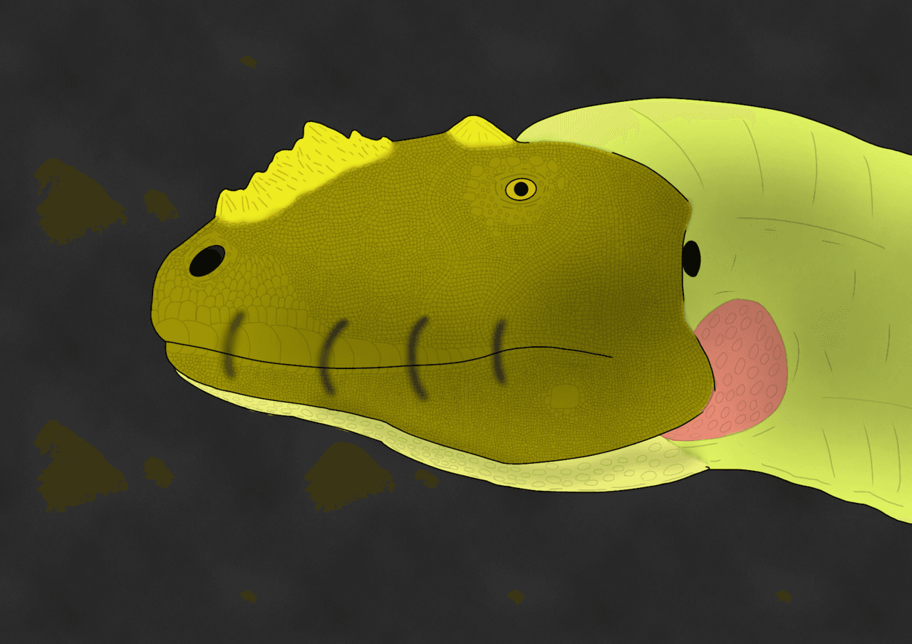 Reconstitution de Metriacanthosaurus parkeri