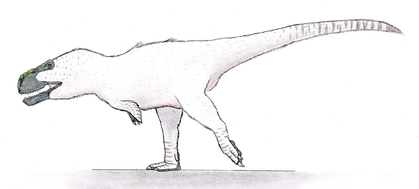 Reconstitution de Nanuqsaurus hoglundi