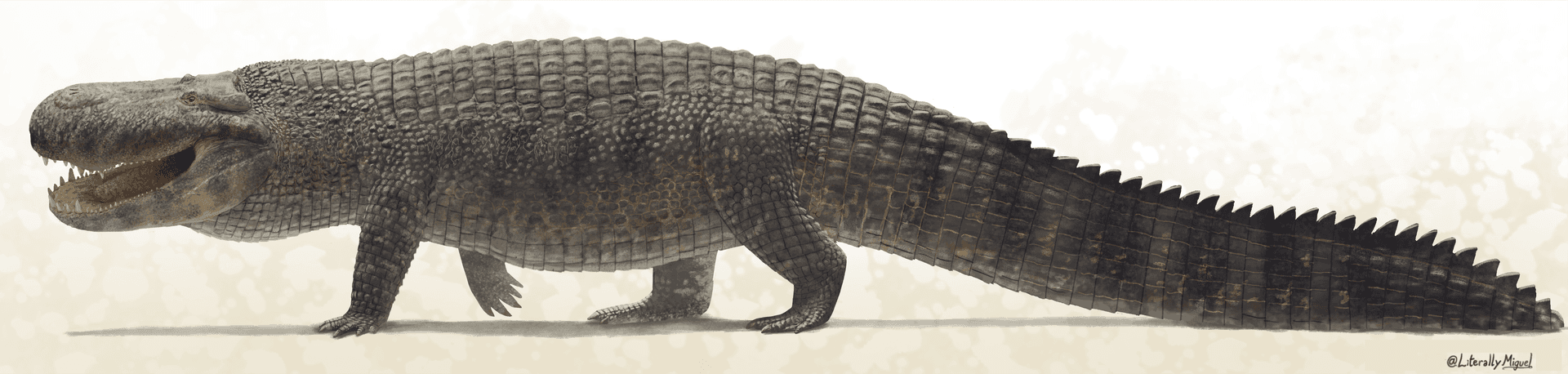 Purussaurus