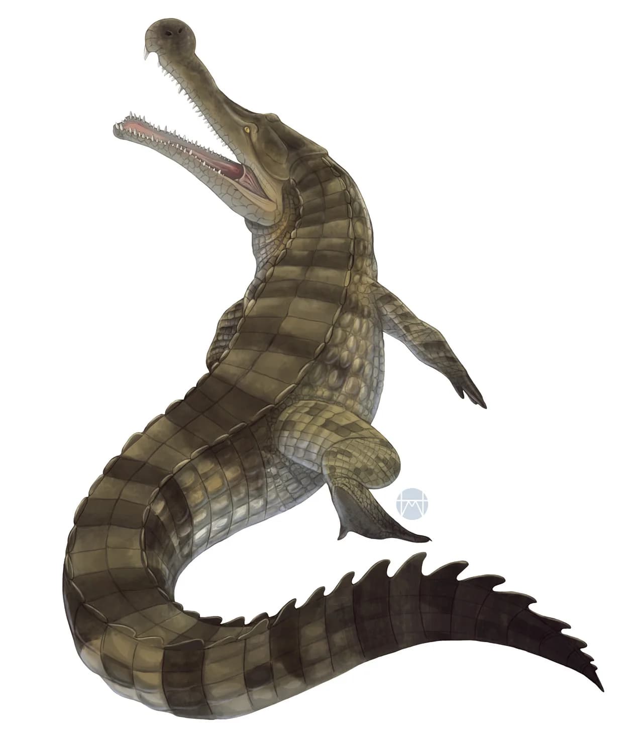Reconstitution de Sarcosuchus imperator dans son environnement fluvial du Crétacé