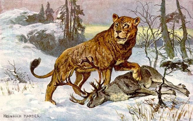 Reconstitution du lion des cavernes européen
