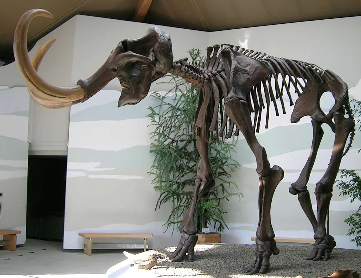 Reconstitution d'un mammouth laineux dans son environnement de steppe glaciaire