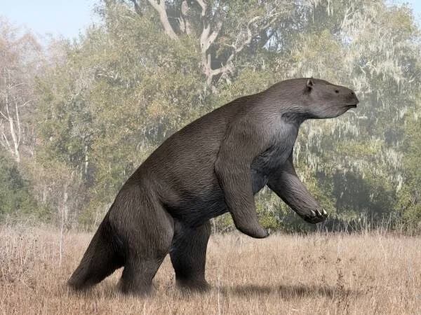 Reconstitution artistique de Megatherium americanum, le plus grand paresseux terrestre