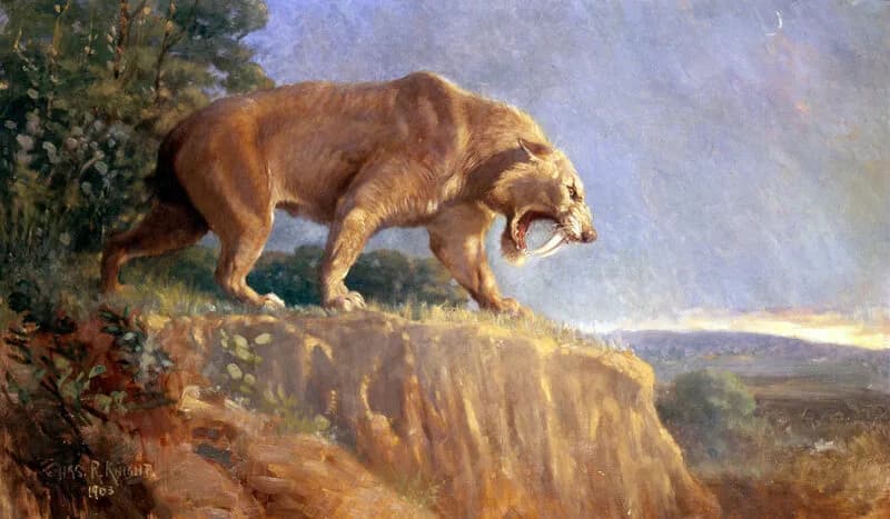 Reconstitution artistique de Smilodon fatalis en posture de chasse